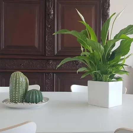 Apartament Casa Fiorenza Parcheggio Privato *
